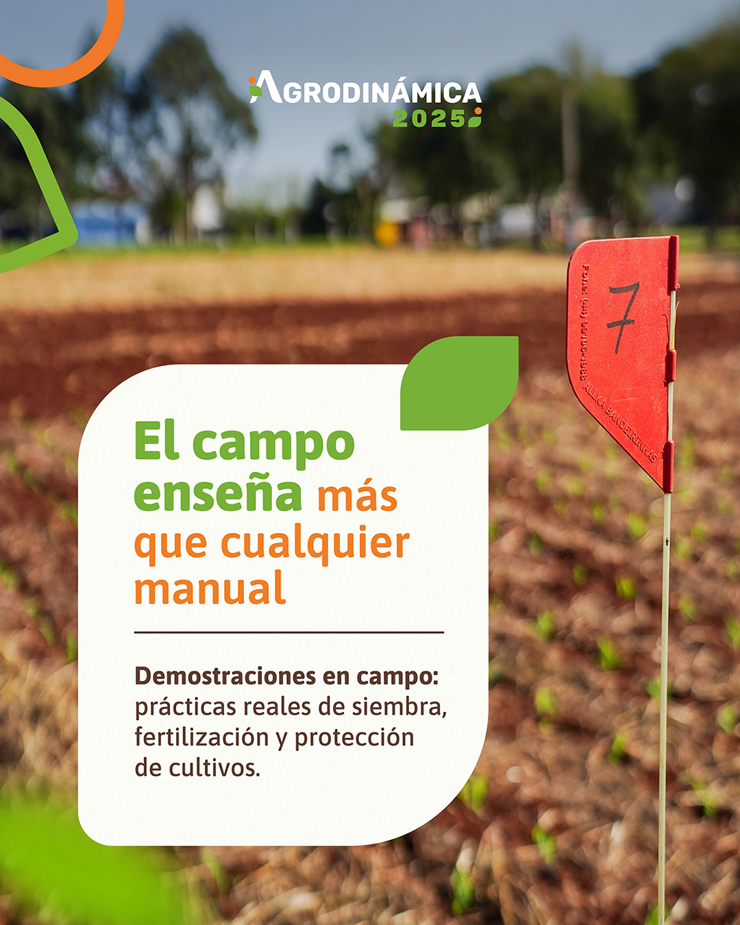 Diseño para redes sociales — Zayasgo
